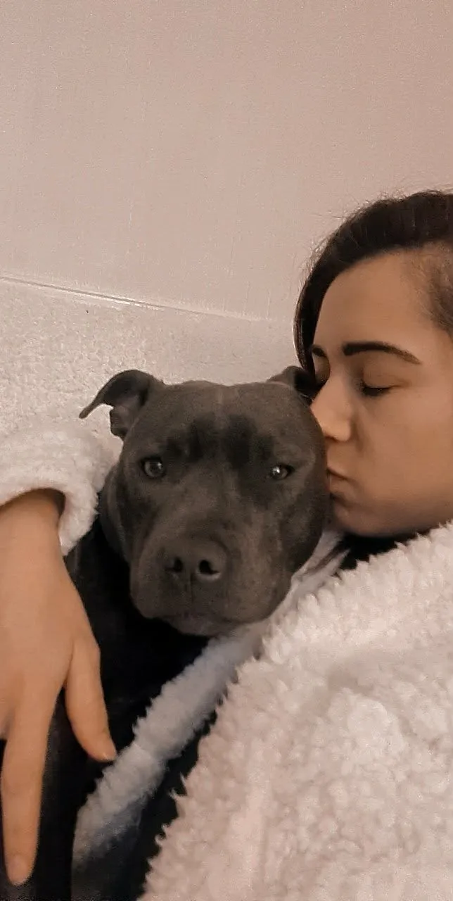 Jade kissing a grey Staffordshire terrier wrapped in a cosy blanket