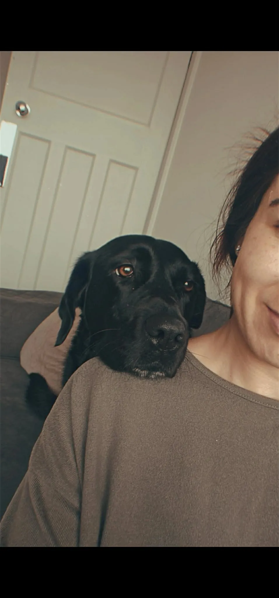 A black Labrador resting its head on Jade’s shoulder on the sofa