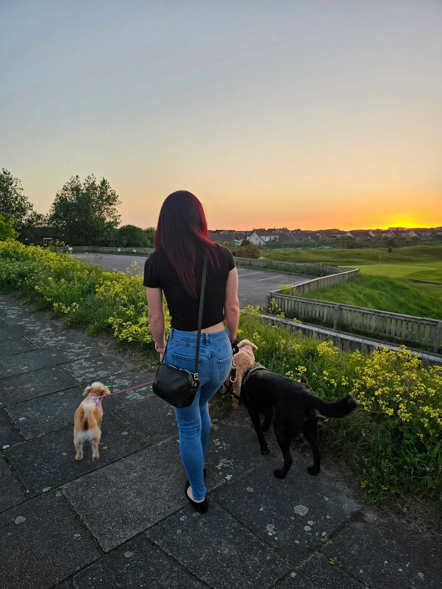 Jade walking two dogs along a coastal path as the sun sets over the Fylde