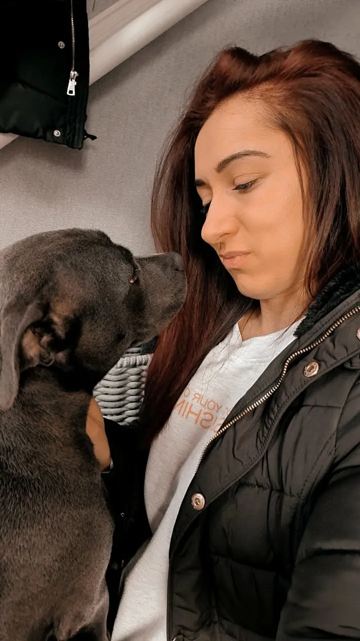 Jade nose to nose with a grey Staffy she looks after, both calm and content